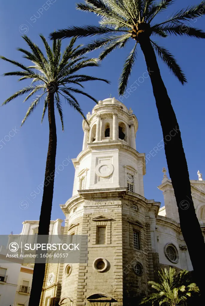 Spain, Andalusia, Cadiz, cathedral