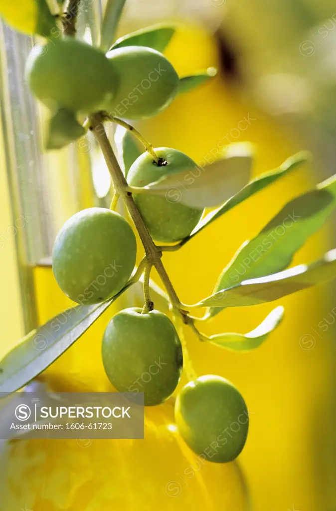 Bottle of olive oil and branch of olive tree