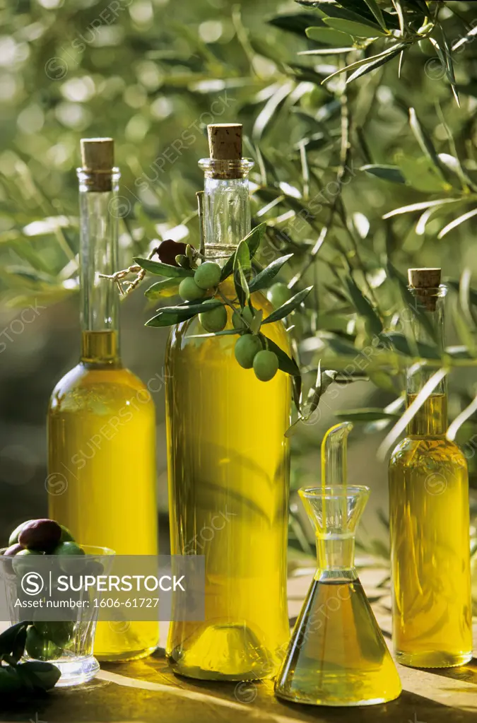 Bottles of olive oil and branch of olive tree
