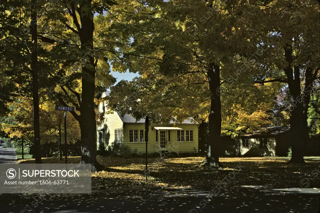 USA, Boston, house under the trees in autumn