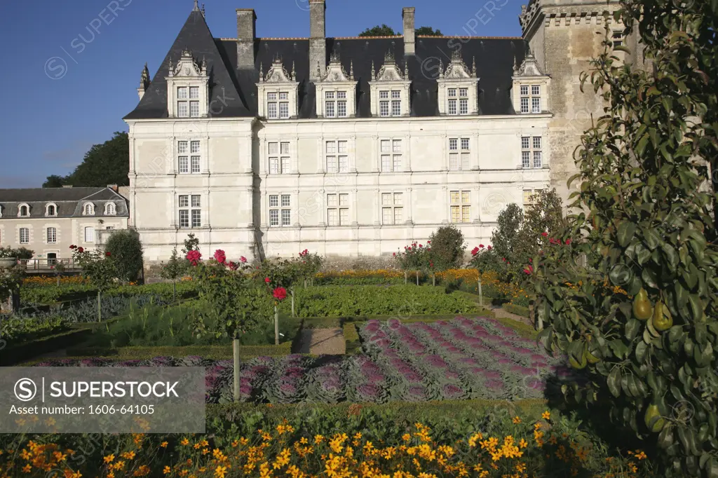 France, Centre, Indre-et-Loire, chteau de Villandry and vegetable garden