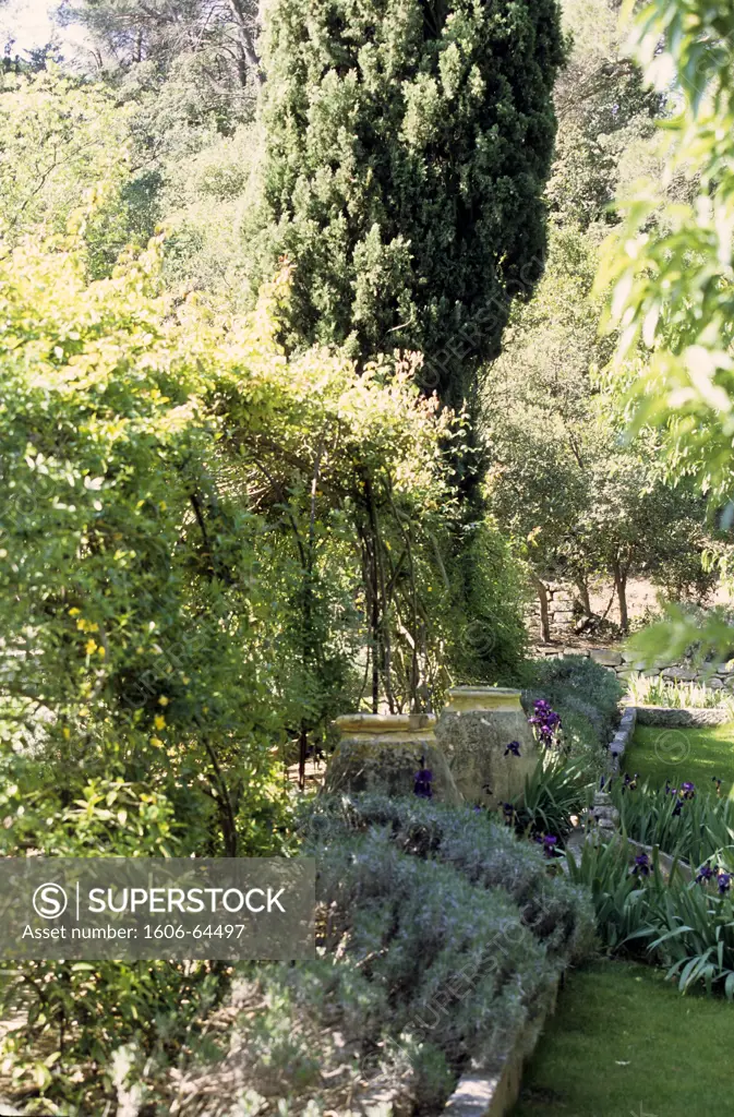Jardin a st Remy de Provence