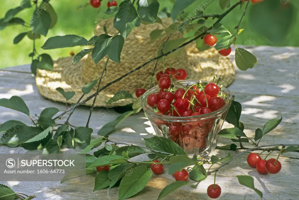 Cherries in a jar on a table, under a cherrytree
