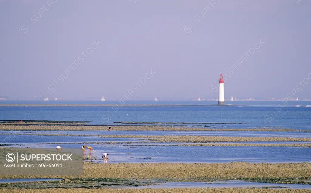 France, Charente-Maritime, île de Ré, La Noue en Ré, Chauveau lighthouse