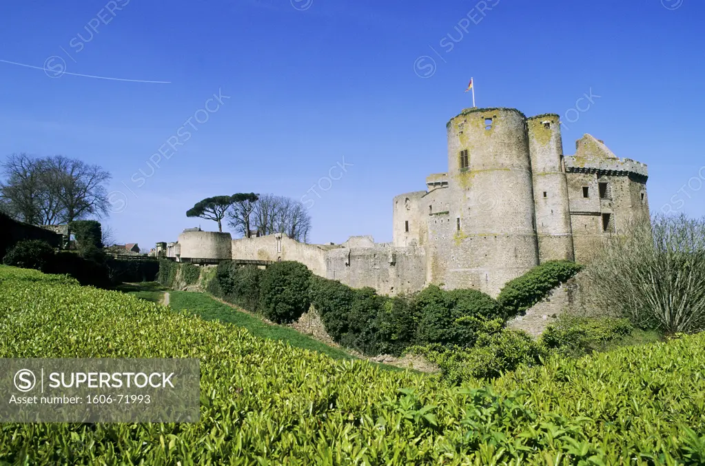 France, Pays de la Loire, Loire-Atlantique, Clisson castle