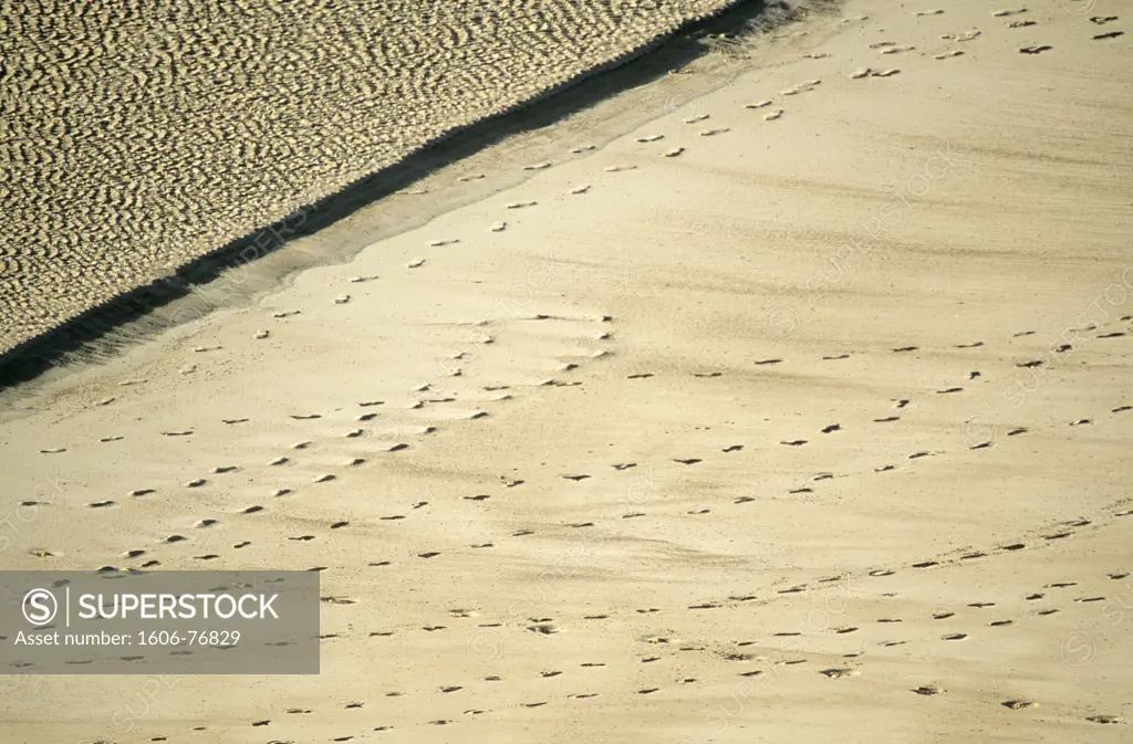 France, Normandy, Manche, Cotentin, footprints on the beach