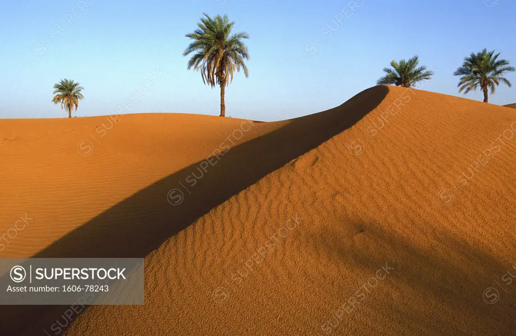 Algérie, Timimoun, Djimdjane, Sand dunes in Timinoun area