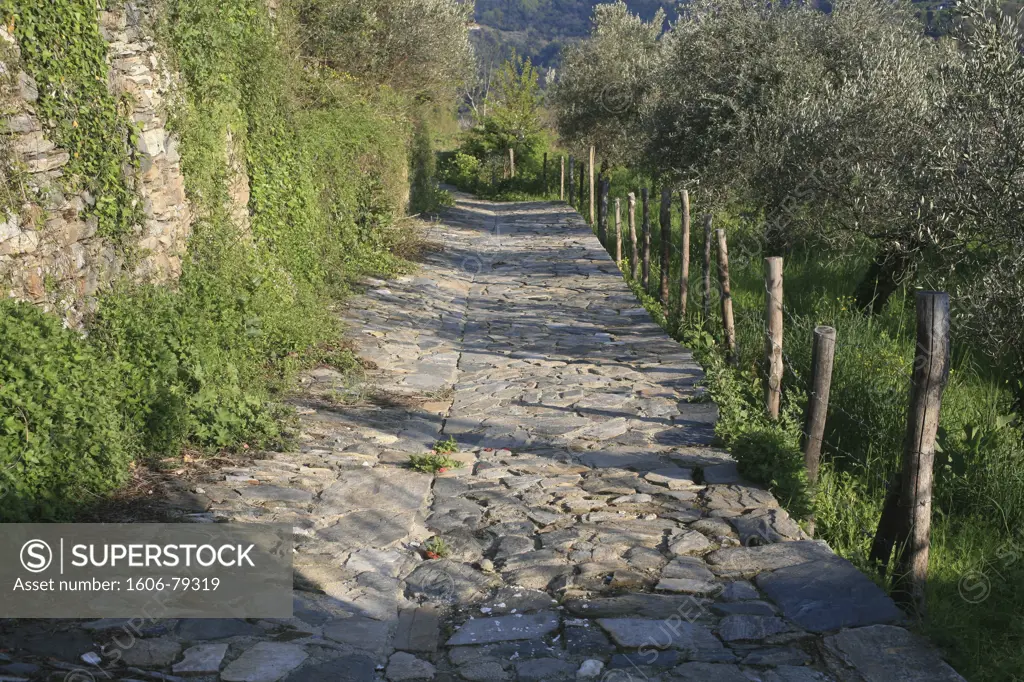 Grèce, Mont Athos, Paved path on Mount Athos