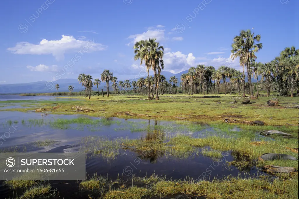 Tanzania, Lake Eyasi,  scenery