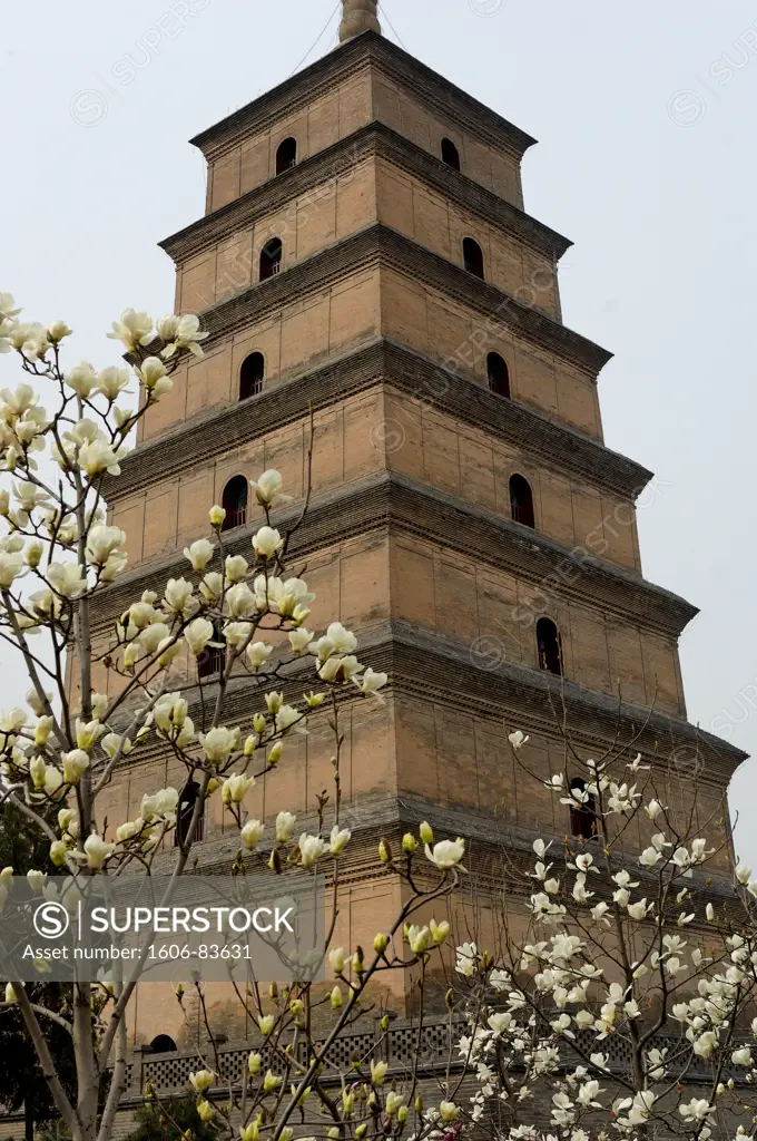 China, Shaanxi, Xian, Giant Wild Goose Pagoda