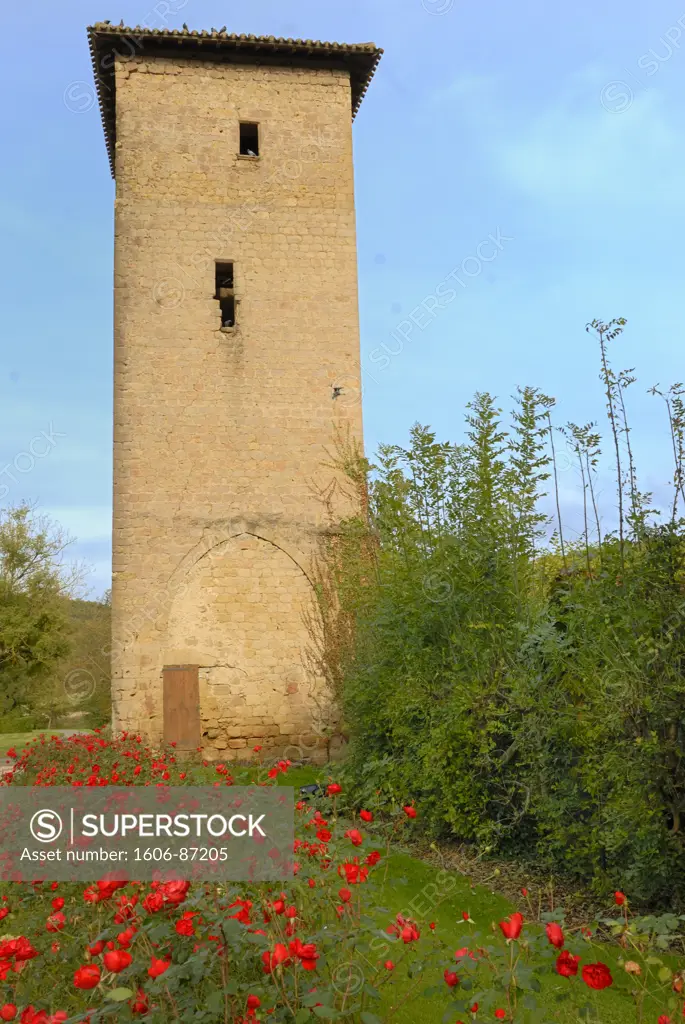 France, Midi-Pyrnes, Gers, Tillac, tower