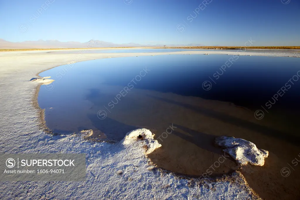 Chile, Atacama, Lagunas Cejar