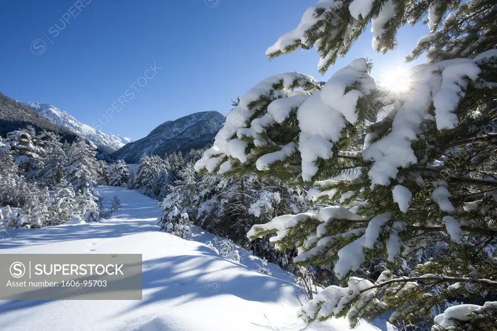 France, Alps, Hautes Alpes, landscape in winter near Brianon