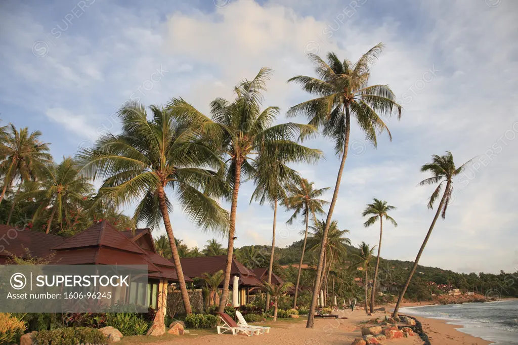 Thailand, Ko Samui, Chaweng Beach, palms, Nora Resort
