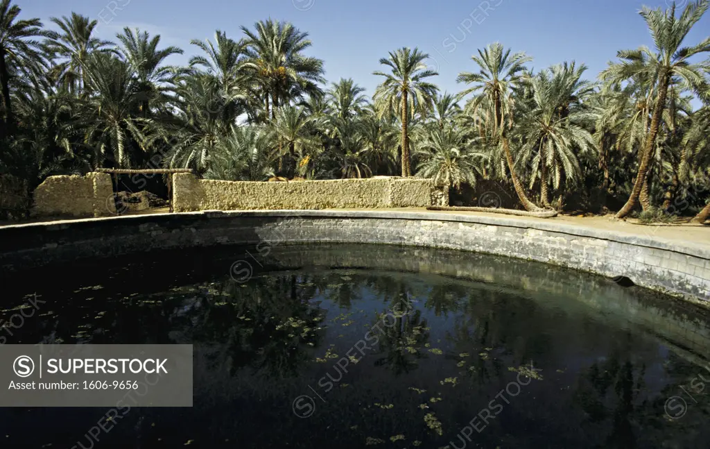 Egypt, Siwa oasis, Cleopatra spring