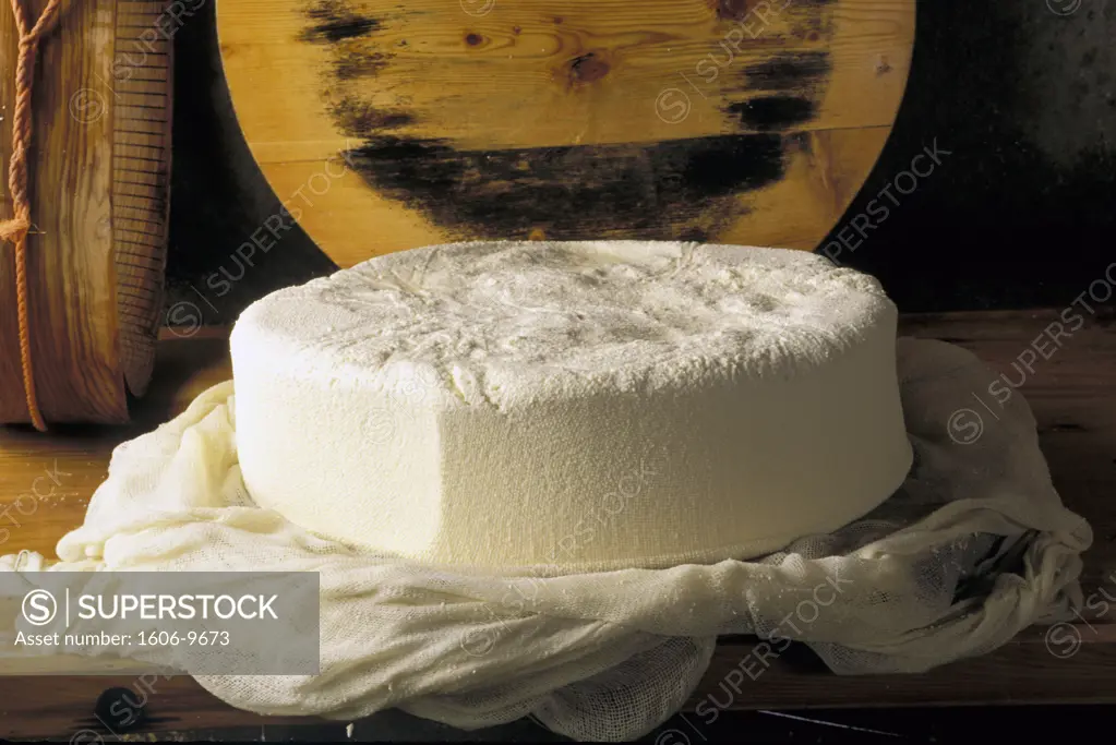 France, Savoy, close-up on drying Beaufort cheese