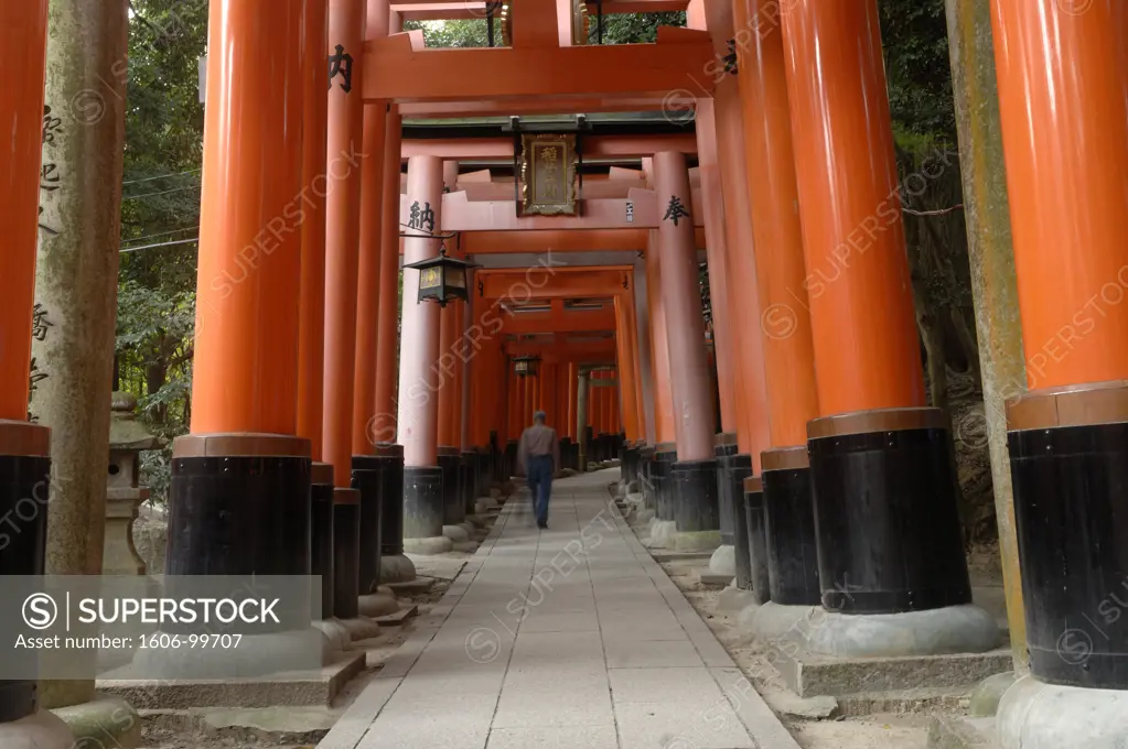 Japan, Kyoto, Fushimi Inari shrine, torii