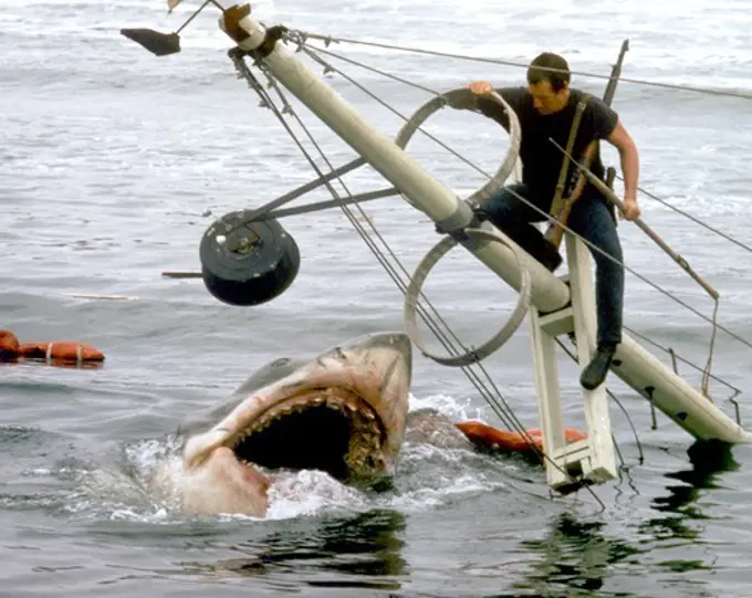 Roy Scheider / Jaws 1975 directed by Steven Spielberg