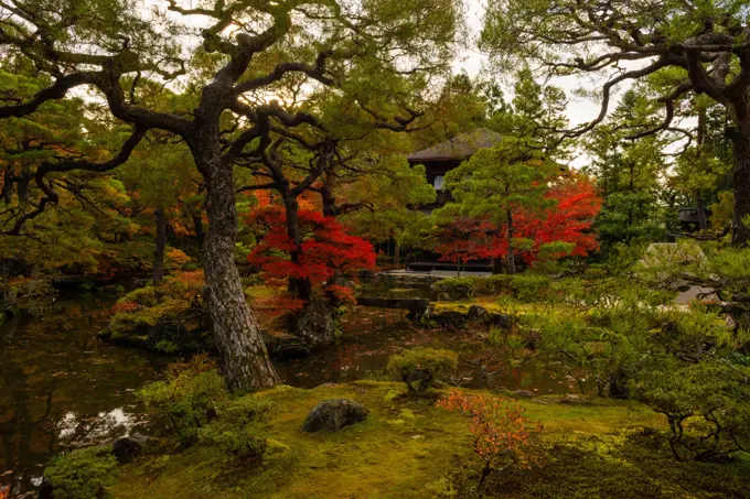 The Silver Pavilion Temple and its beautiful orange-red colors, Higashiyama district, Kyoto, Kansai, Honshu, Japan