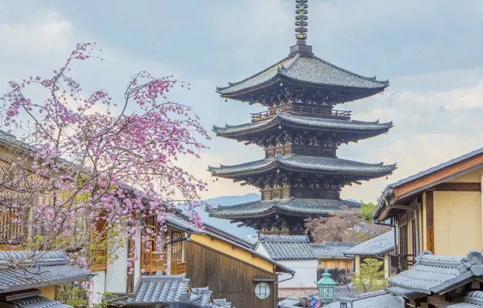 Japan, Kyoto City, Pagoda and blossoms
