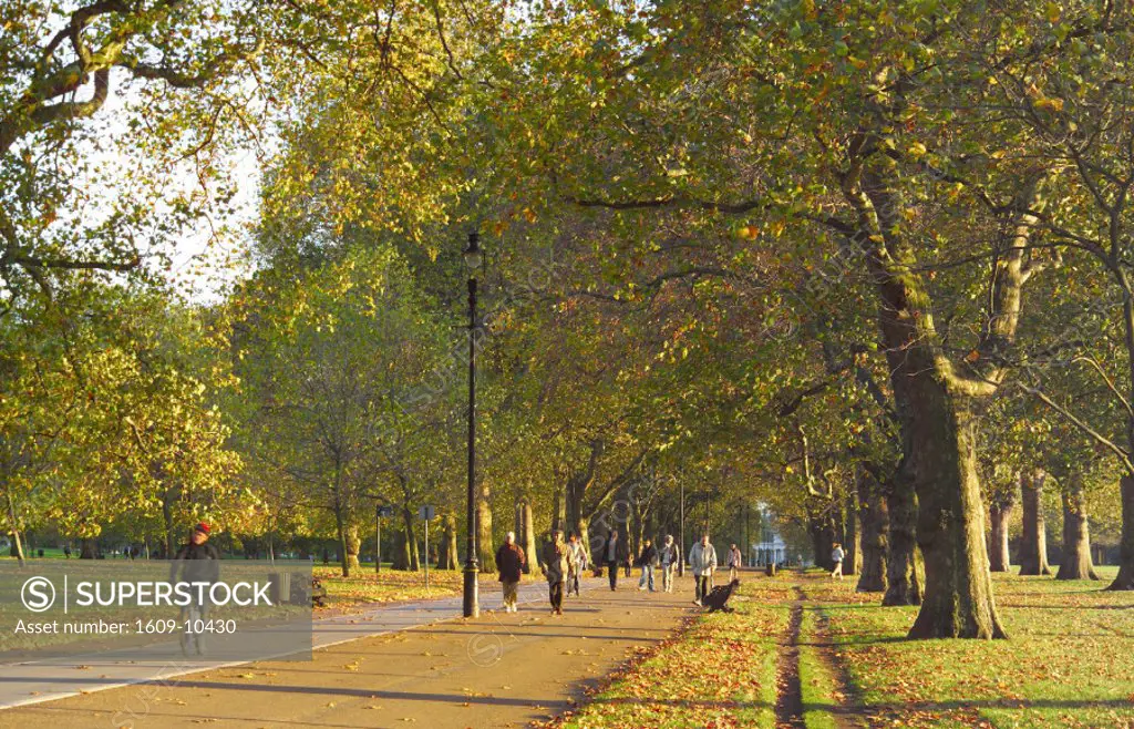 Hyde Park in the Autumn, London, England
