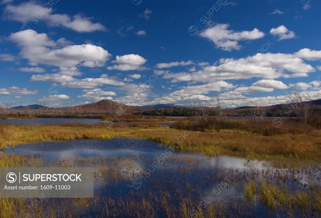 Simon Pond nr. Tupper Lake, Adirondack Park, New York State, USA