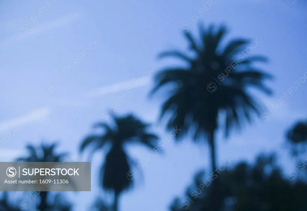 Ocean Avenue, Santa Monica, Los Angeles, California, USA