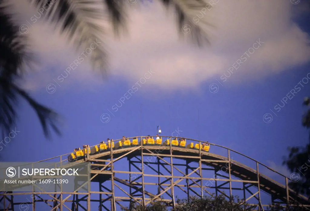 Roller Coaster, Bush Gardens, Tampa, Florida, USA