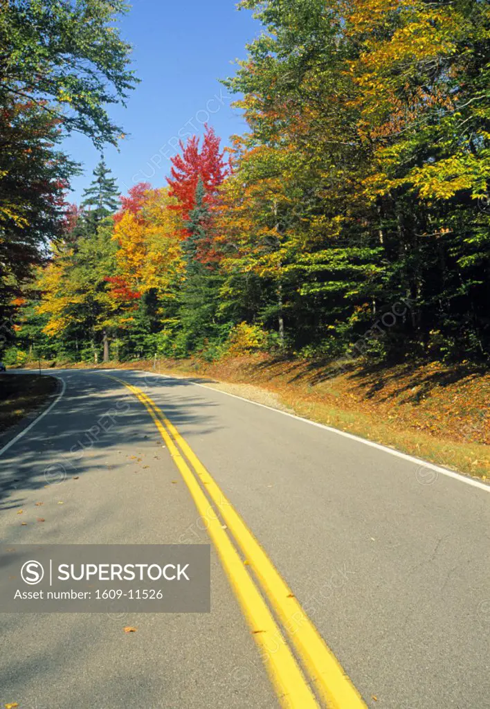 Road in Autumn, Vermont, USA