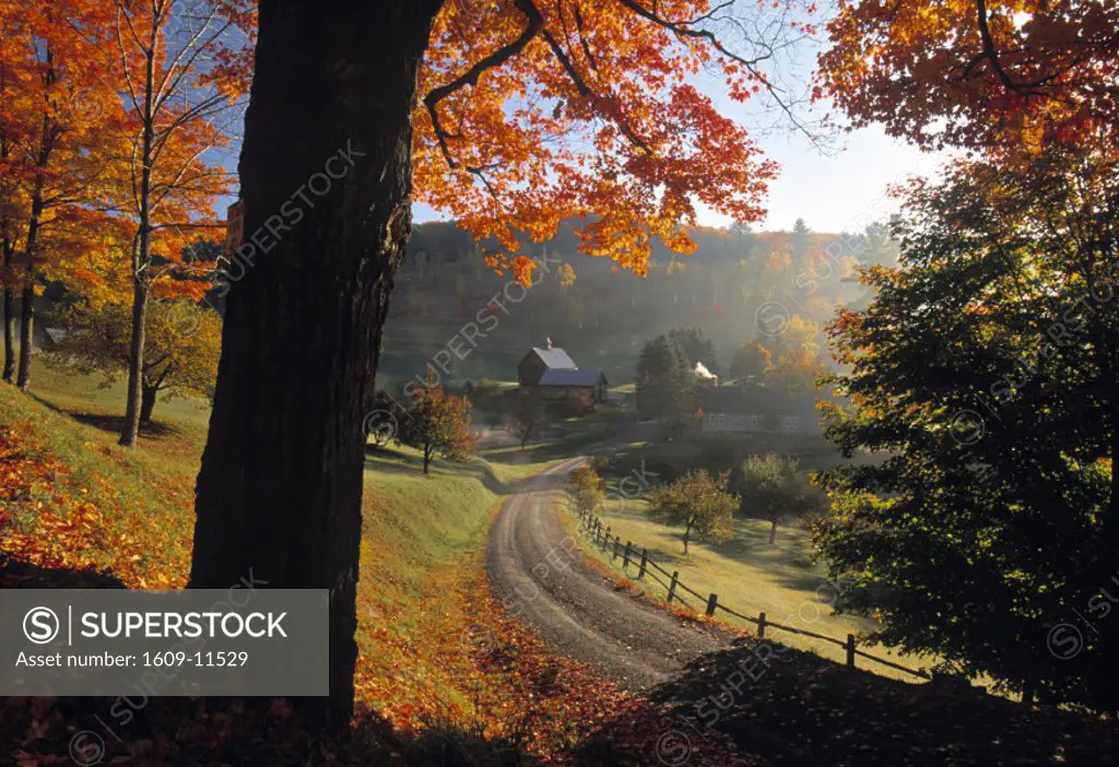 Fall foliage, Vermont, USA