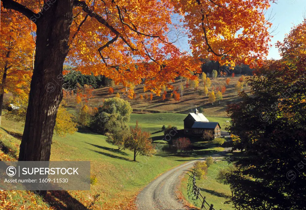 Fall foliage, Vermont, USA