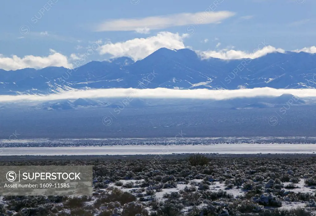 Sarcobatus Flat & Grapevine Mountains, Nevada, USA