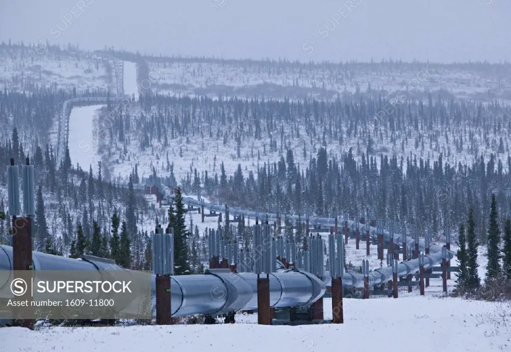 Trans Alaska pipeline, Alaska, USA