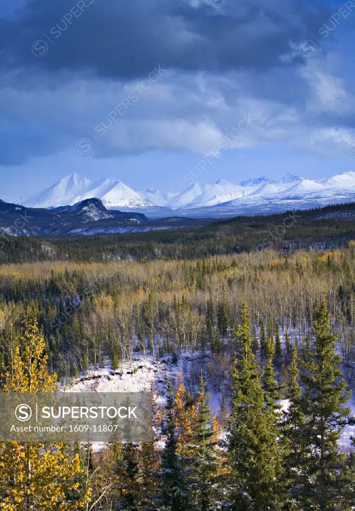 Alaska Range, Mckinley Park, Denali NP, Alaska, USA
