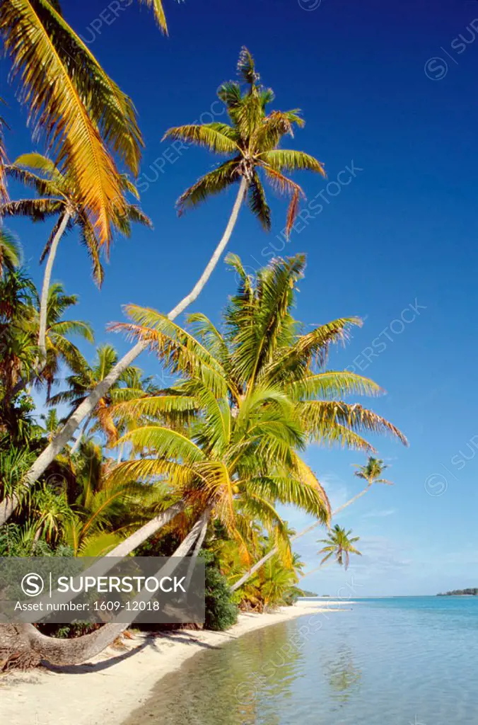 Atoll / Palm Trees & Tropical Beach / Sea & Sand, Aitutaki Island, South Pacific / Polynesia, Cook Islands
