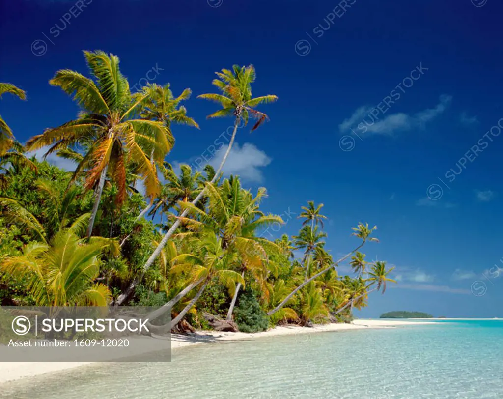 Atoll / Palm Trees & Tropical Beach / Sea & Sand, Aitutaki Island, South Pacific / Polynesia, Cook Islands