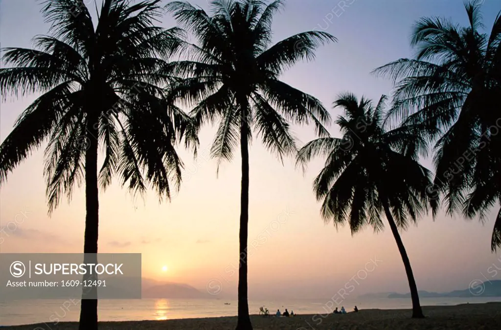 Nha Trang Beach / Palm Trees at Sunrise, Nha Trang, Vietnam