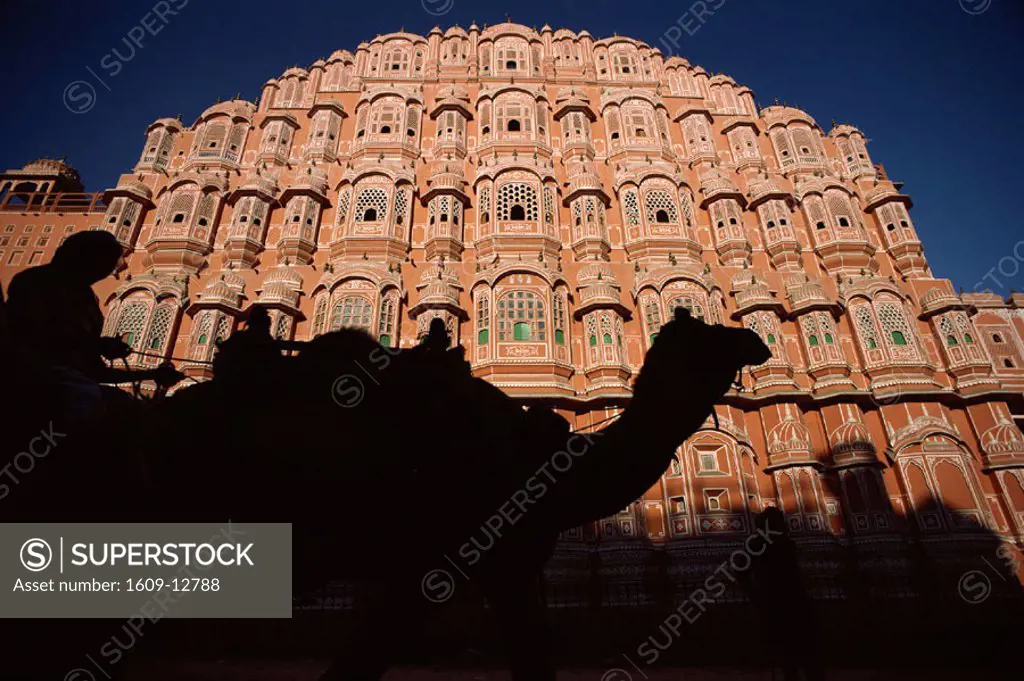 Palace of the Winds (Hawa Mahal) / Camel in Silouhette, Jaipur, Rajasthan, India