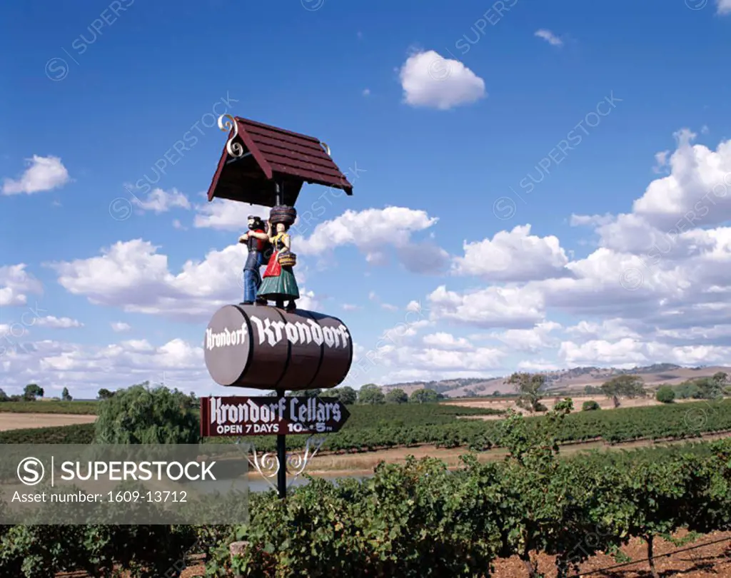 Nuriootpa / Barossa Valley / Vineyards, Adelaide, South Australia, Australia