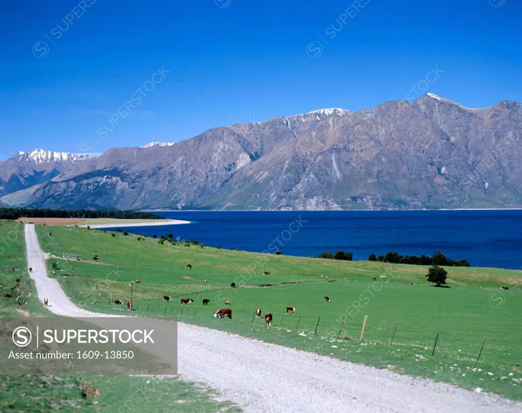 Road with Lake Hawea & The Southern Alps Mountain Ranges, Wanaka, South Island, New Zealand