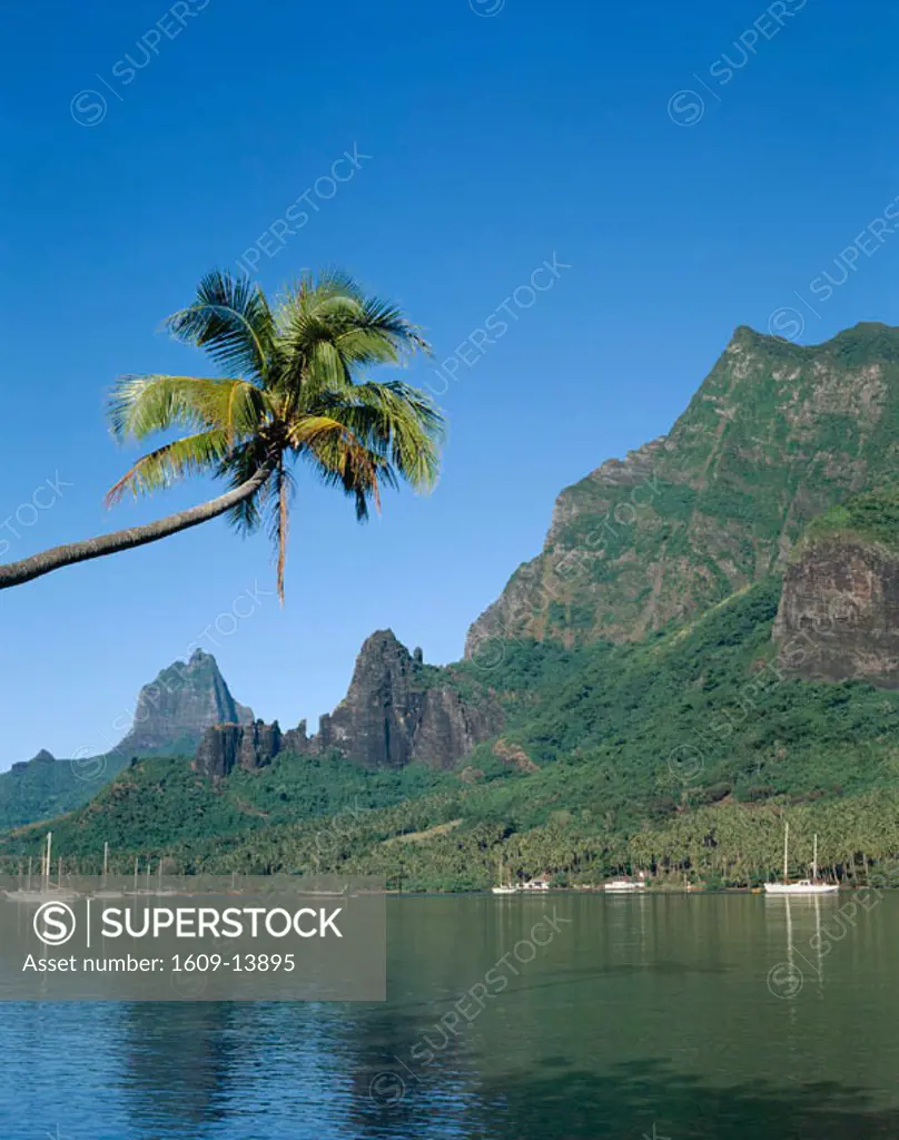 Moorea / Cook´s Bay, South Pacific / French Polynesia, Tahiti