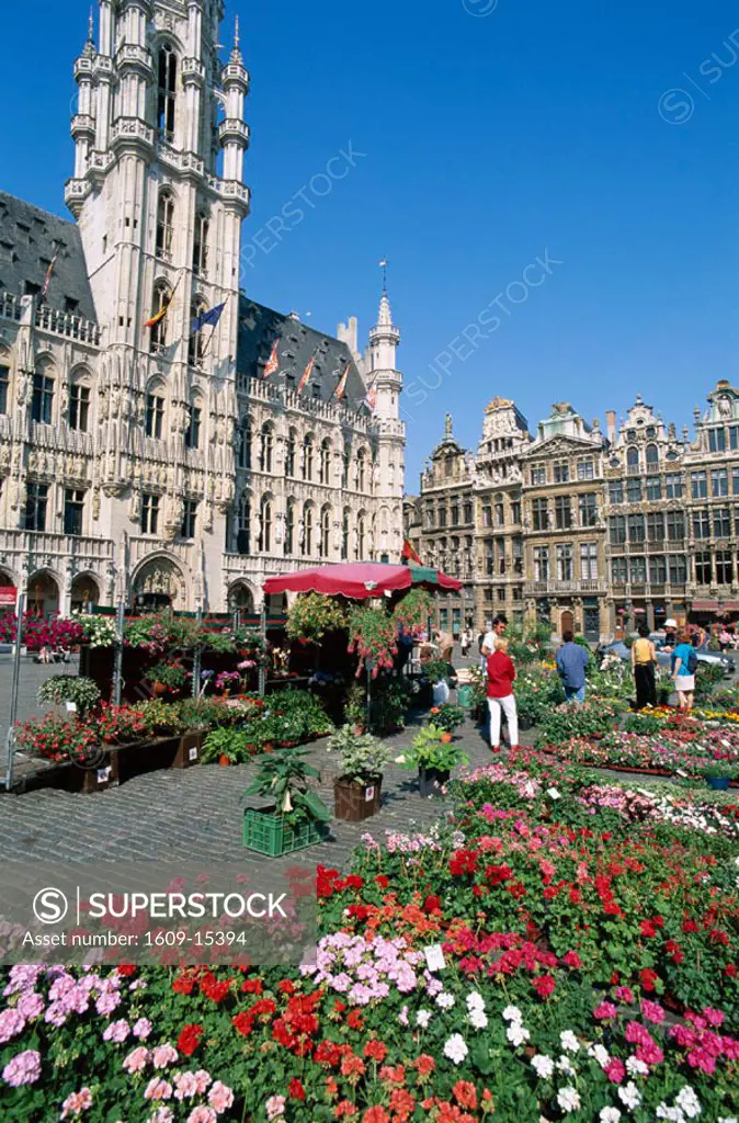 Grand Place / Flower Market, Brussels, Belgium