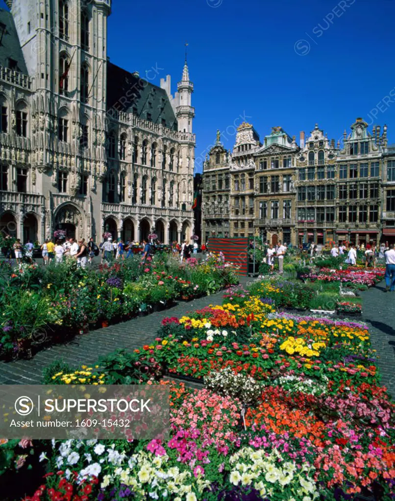 Grand Place / Flower Market, Brussels, Belgium