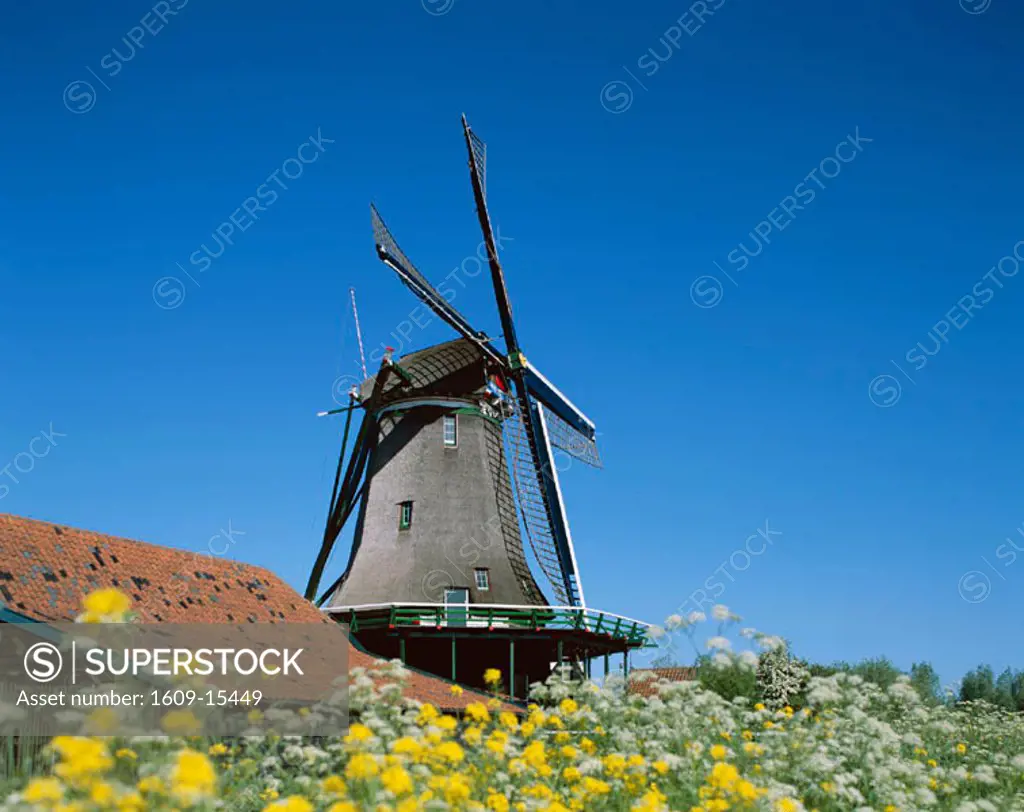 Windmill, Zaanse Schans, Holland (Netherlands)