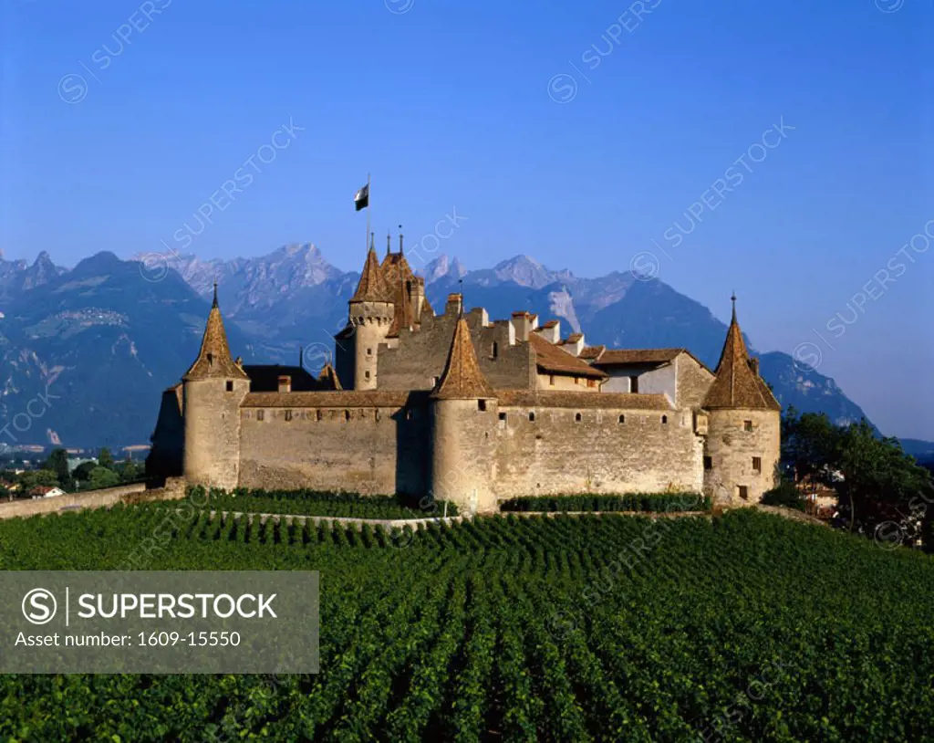 Aigle Castle (Chateau d´Aigle) / Vineyards & Alps Mountains, Aigle, Lac Leman (Lac Geneve), Switzerland