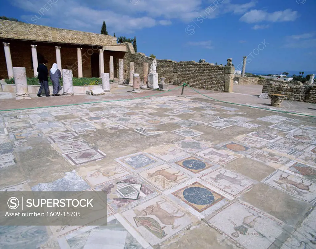 Carthage / The Roman Villa / Mosiac Floor, Tunis, Tunisa