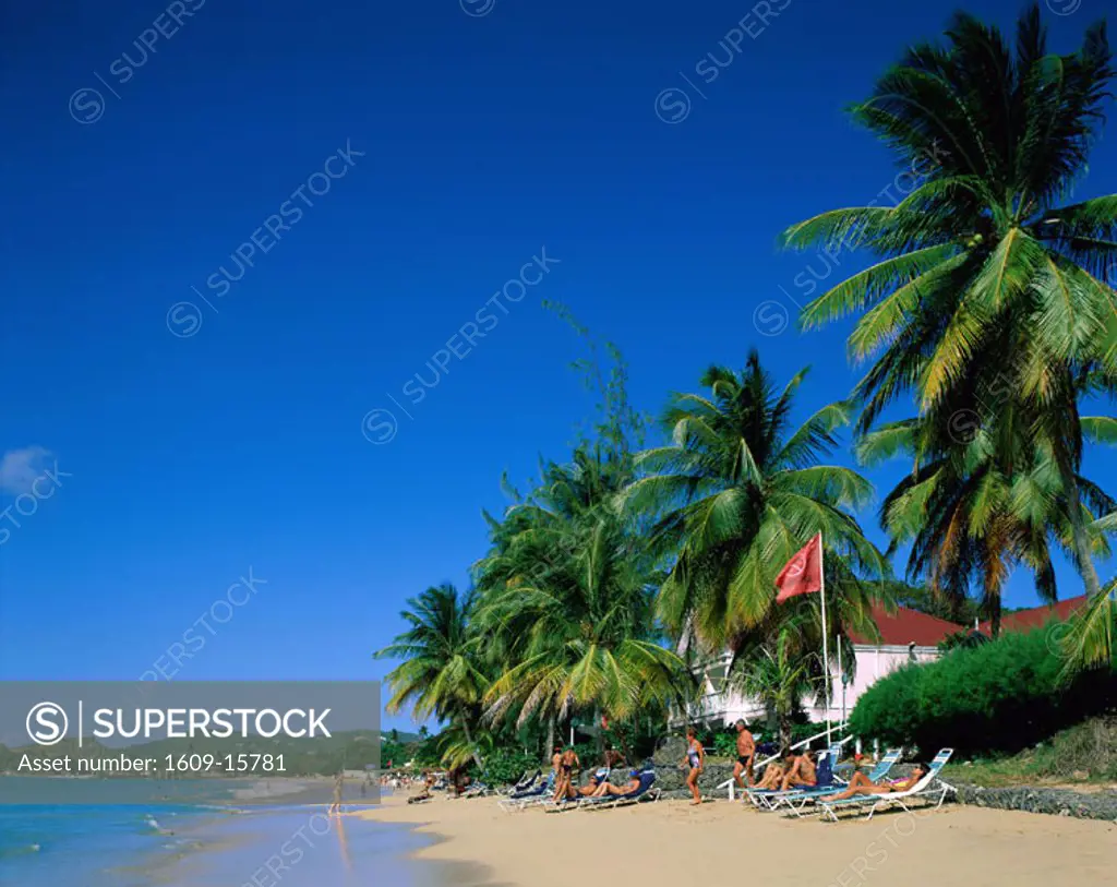 Reduit Beach / Sand / Sea / Palm Trees, St.Lucia, Caribbean Islands