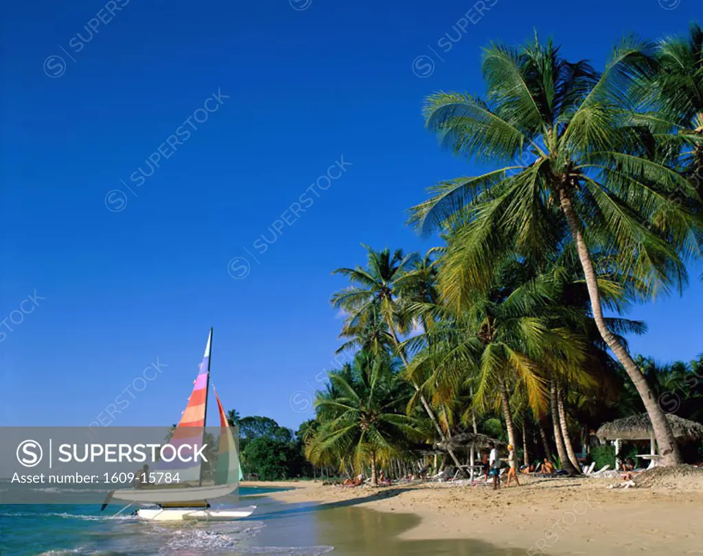 Kings Beach / Sand / Sea / Palm Trees, Barbados, Caribbean Islands