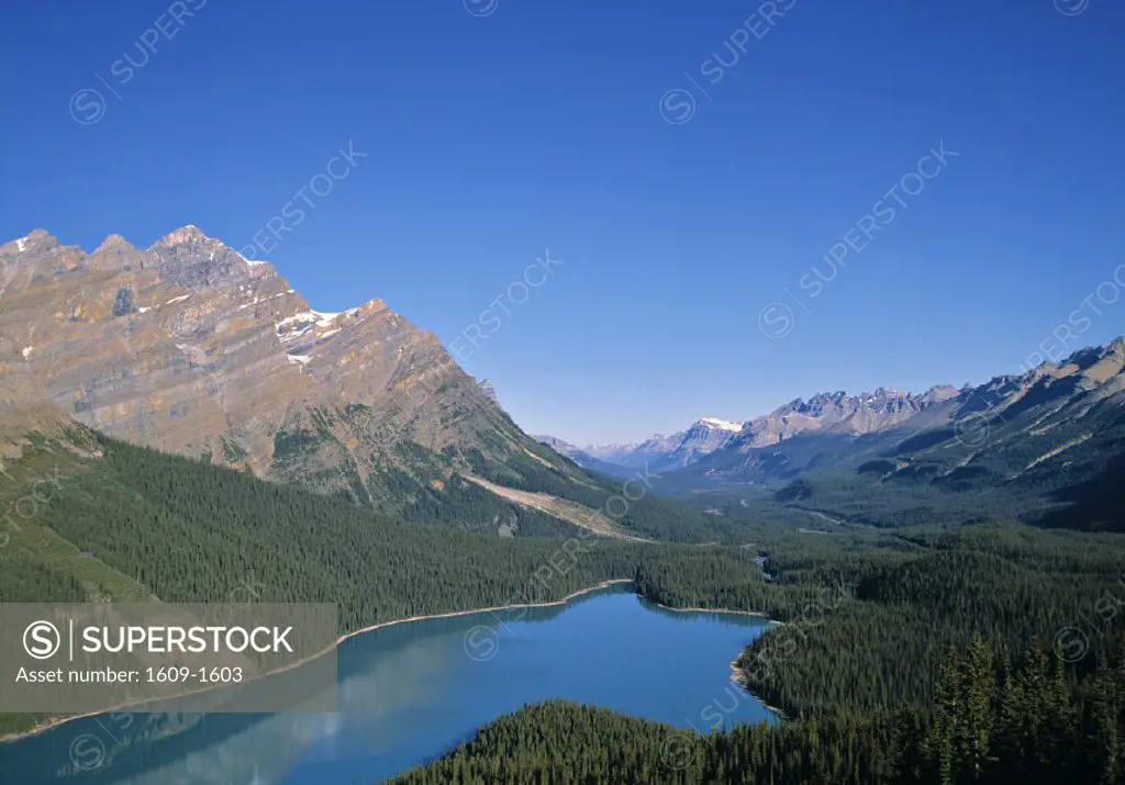 Peyto Lake, Banff NP, Alberta, Canada