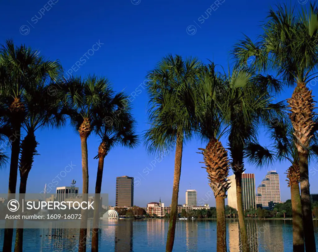 City Skyline / Lake Eola & Fountain / Palm Trees, Orlando, Florida, USA